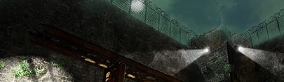 Cage