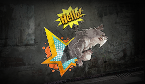 Hello