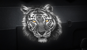 BlackTiger