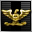 Coronel de Guerra Especial