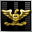 Coronel superior de guerra especial